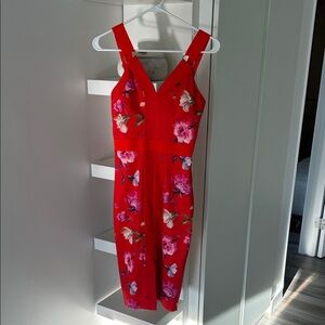 Ted Baker Red Galina Bodycon Dress Size 0